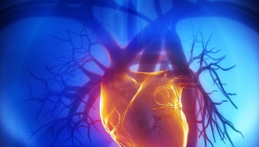 Geni che aumentano il rischio di infarto.  nuova scoperta