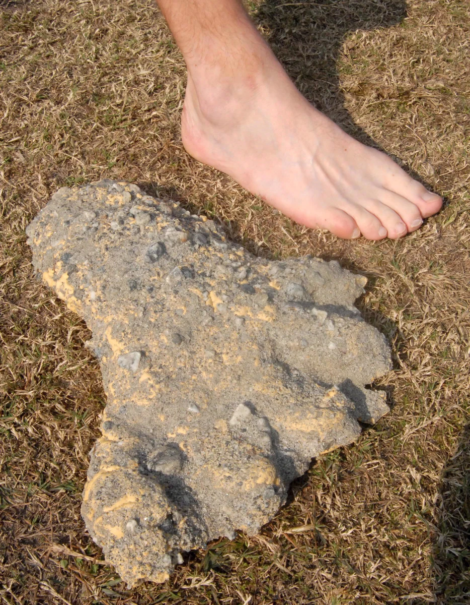 Naukowcy jednak nie potwierdzają legendy o istnieniu Wielkiej Stopy. Międzynarodowy zespół badaczy przeanalizował 36 próbek sierści rzekomo zgubionej przez yeti lub inne legendarne stworzenia. Wszystkie pochodzą od znanych nauce ssaków, takich jak niedźwiedzie, wilki, krowy czy szopy.