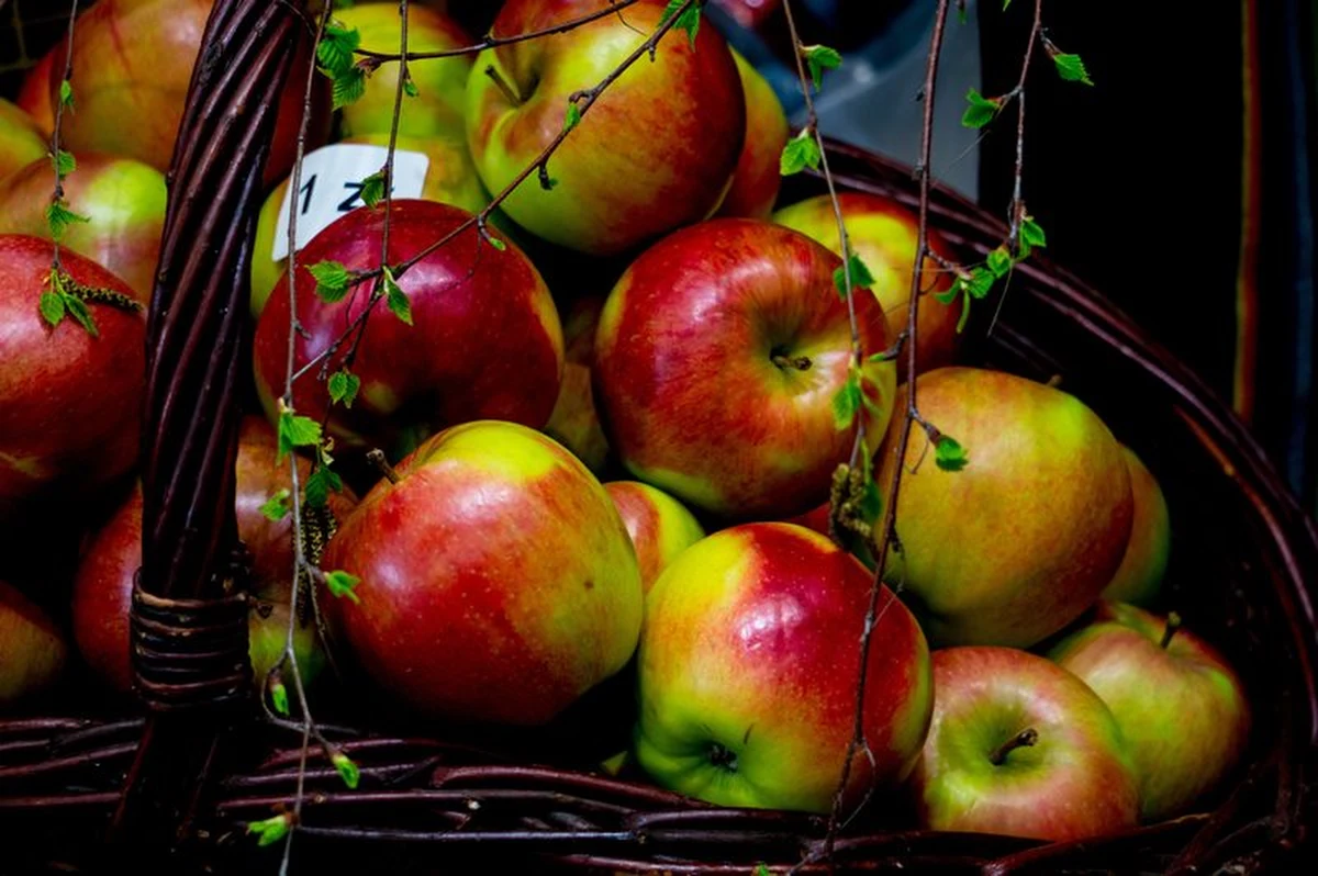 Rosjanie zagrozili Polsce embargiem na eksport produktów roślinnych. Podczas zakończonych w Kaliningradzie rozmów z przedstawicielami polskich służb ostrzegli, że w ostatnim czasie lawinowo rośnie liczba transportów do ich kraju owoców i warzyw, które nie spełniają norm. 