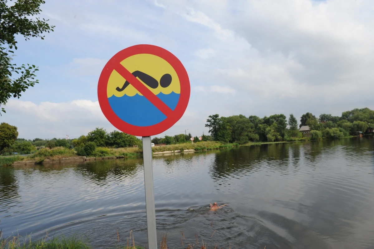 Nie wolno kąpać się w Jeziorze Paprocańskim w Tychach. W wodzie zakwitły groźne dla zdrowia sinice - ostrzega reporterka RMF FM Anna Kropaczek.