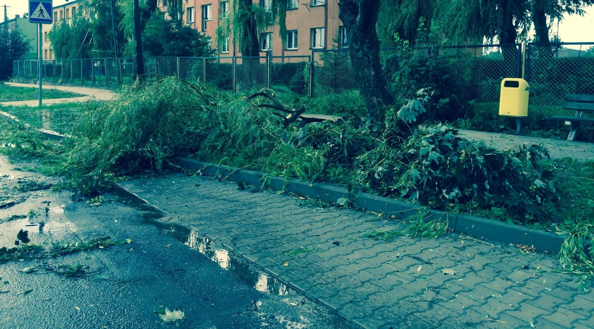 Kilkanaście zerwanych dachów w budynkach mieszkalnych i gospodarczych oraz kilka tysięcy osób bez prądu  - to efekt burz, które przeszły we wtorek po południu przez powiaty wieruszowski i wieluński w Łódzkiem. 