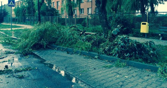 Kilkanaście zerwanych dachów w budynkach mieszkalnych i gospodarczych oraz kilka tysięcy osób bez prądu  - to efekt burz, które przeszły we wtorek po południu przez powiaty wieruszowski i wieluński w Łódzkiem. 