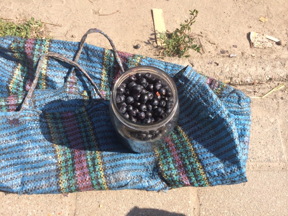 /Krzysztof Kot /RMF FM