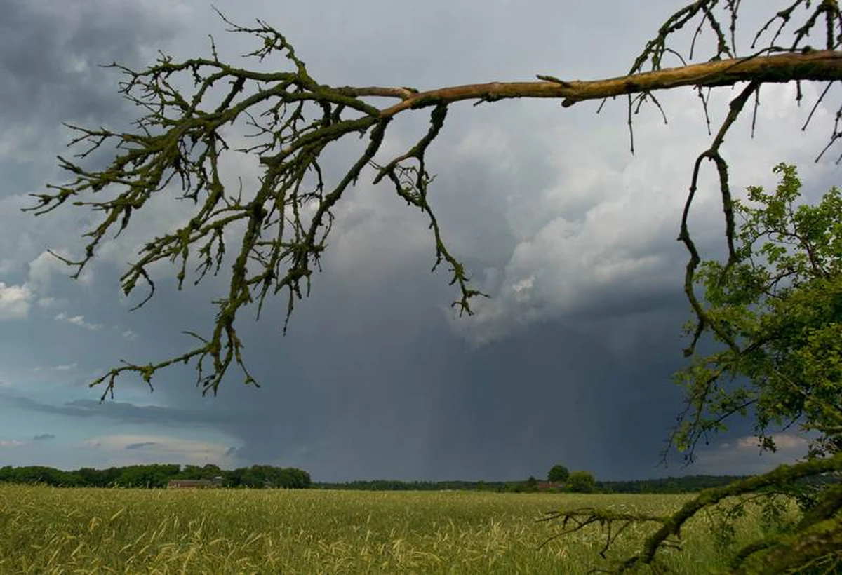 Pogodnie tylko na północy kraju, poza tym na ogół pochmurno, deszczowo i burzowo - takie są prognozy na piątek. Synoptycy ostrzegają, że opady lokalnie, głównie w regionach południowych, mogą być obfite, a burze miejscami gwałtowne. W sobotę aura ma się nieco uspokoić. Wyładowania atmosferyczne wystąpią głównie na Podlasiu, Podkarpaciu oraz Lubelszczyźnie. Prognozy na niedzielę są optymistyczne. Słońca nigdzie nie zabraknie, a padać i grzmieć raczej nie powinno. Na termometrach maksymalnie do 25 st. C.