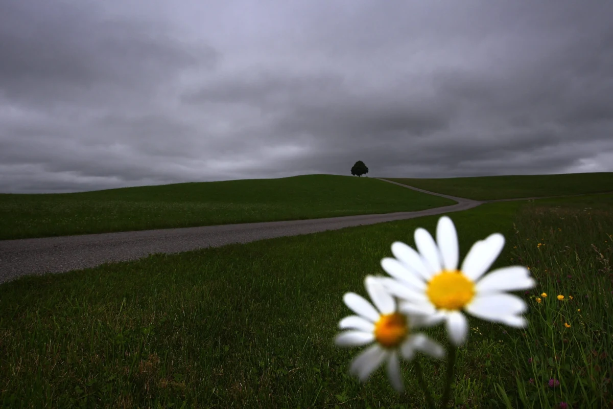 Sobota w większości województw upłynie pod znakiem pochmurnej i deszczowej pogody. Najgorzej będzie na Podlasiu, Lubelszczyźnie i na Podkarpaciu. W tych regionach występują bardzo intensywne opady deszczu. W Jaśle ogłoszono alarm przeciwpowodziowy. Na Warmii i Mazurach, w centrum i na południu kraju wystąpią burze, które lokalnie mogą być gwałtowne.