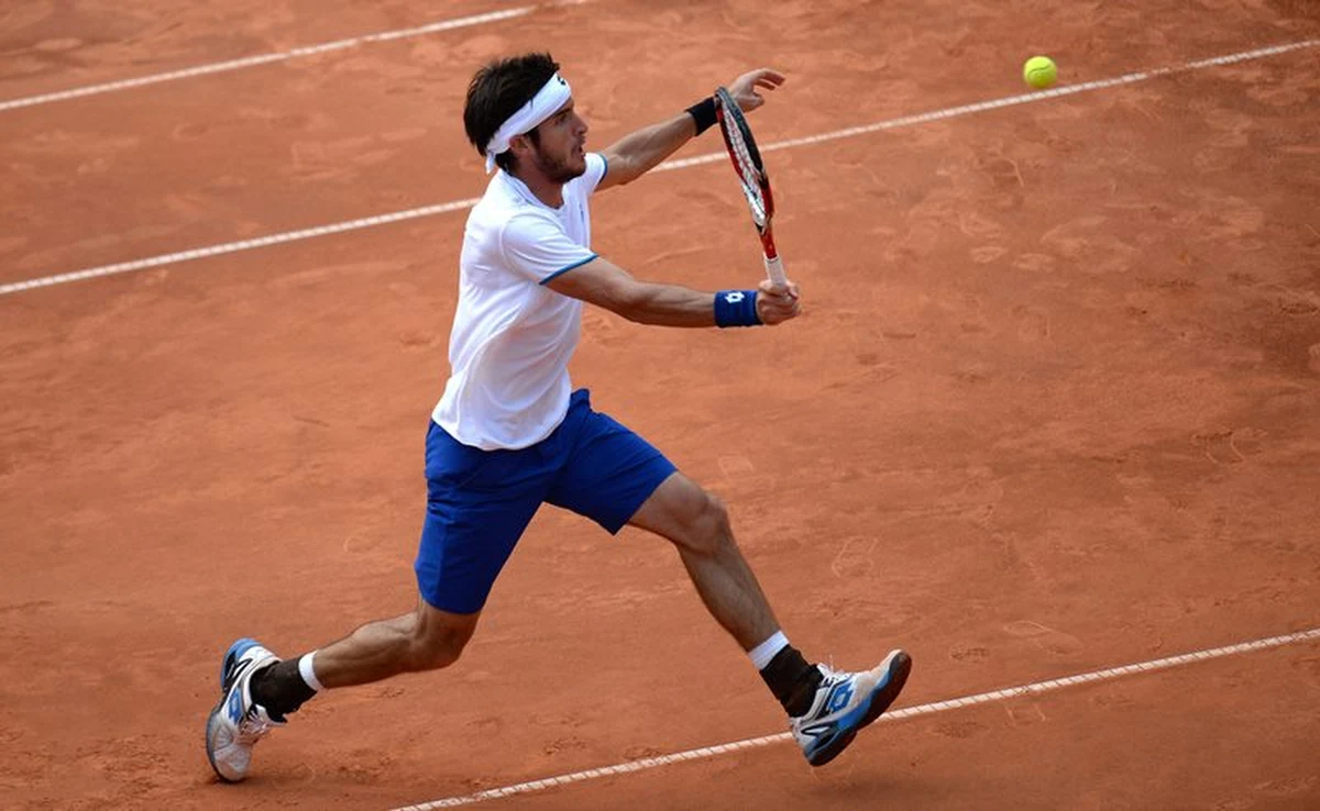 Argentyńczyk Leonardo Mayer pokonał najwyżej rozstawionego Hiszpana Davida Ferrera 6:7 (3-7), 6:1, 7:6 (7-4) w finale tenisowego turnieju ATP w Hamburgu.
