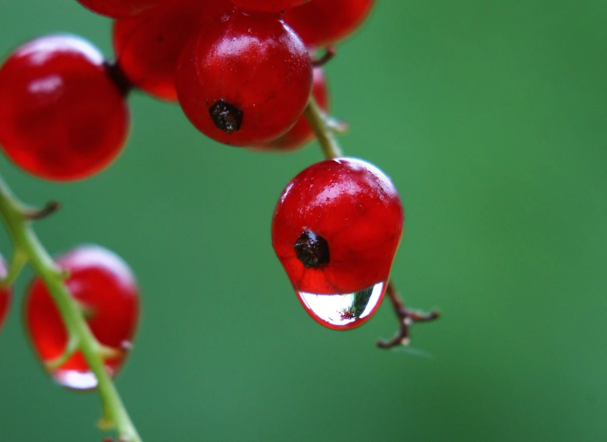 W czwartek czeka nas zmiana pogody. Odpoczniemy od upałów - temperatura w niektórych częściach kraju spadnie nawet do 18 stopni Celsjusza. ​