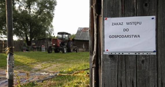 Ukraina może wprowadzić zakaz importu polskiej wieprzowiny w związku z pojawieniem się choroby afrykańskiego pomoru świń (ASF) u zwierząt hodowlanych - oświadczył ukraiński minister rolnictwa Ihor Szwajka. Władze w Kijowie wprowadziły już w lutym tego roku embargo na polską wieprzowinę. Zniosły je dopiero 18 czerwca.