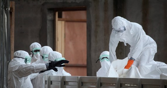Teoretycznie istnieje ryzyko zawleczenia gorączki krwotocznej Ebola do Europy, w tym do Polski, ale obecnie jest ono niskie - zapewnili eksperci w rozmowie z PAP. Ich zdaniem epidemia, która od marca 2014 roku rozwija się w Afryce Zachodniej, na razie nam nie zagraża.