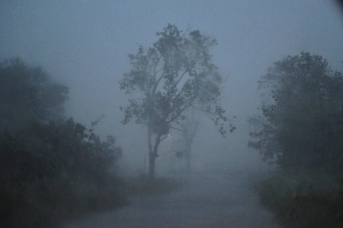 Ponad tysiąc razy interweniowali w ciągu ostatniej doby strażacy po wichurach i ulewach. Najczęściej - w Wielkopolsce. Bilans nawałnic to nie tylko zniszczone domy i zerwane sieci energetyczne - podczas burzy we wsi Głuponie w powiecie nowotomyskim zginęło niemowlę.