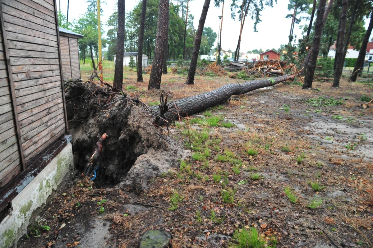 Ponad 1300 razy interweniowali w ciągu ostatniej doby strażacy po gwałtownych wichurach i ulewnych, które wczoraj wieczorem i w nocy przeszły nad Polską. Pogoda dziś będzie podobna, można się więc spodziewać kolejnych lokalnych podtopień i zerwania linii energetycznych. 