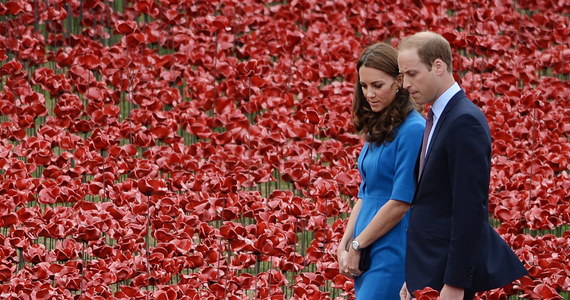 Drugi w kolejce do brytyjskiego tronu książę William wraz z księżną Kate "zasadzili" ceramiczne czerwone maki w fosie wokół londyńskiej Tower. Tworzące się tam morze maków upamiętni brytyjskich żołnierzy poległych w I wojnie światowej, w setną rocznicę wybuchu. 
