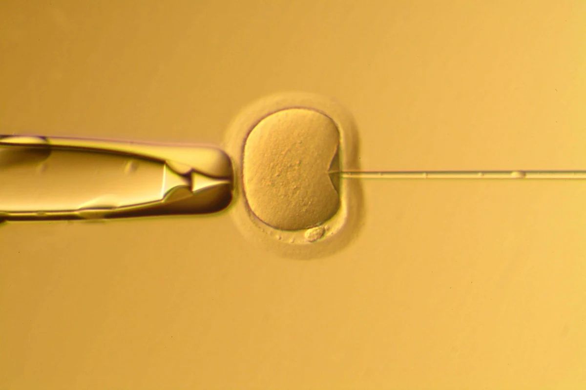 Wiek 30 lat, absolwent politechniki, bez nałogów - oto najlepszy kandydat na przyszłego ojca. Takie informacje podaje "Dziennik Zachodni".