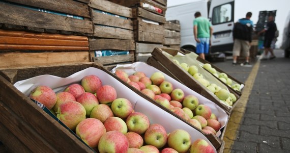 Polska zabiega o tzw. szybką ścieżkę uzyskania zgody na eksport polskich jabłek do USA – powiedział ambasador Ryszard Schnepf. Z powodów fitosanitarnych, ale głównie by chronić własną produkcję, USA nie dopuszczają na swój rynek jabłek z UE, poza Włochami.