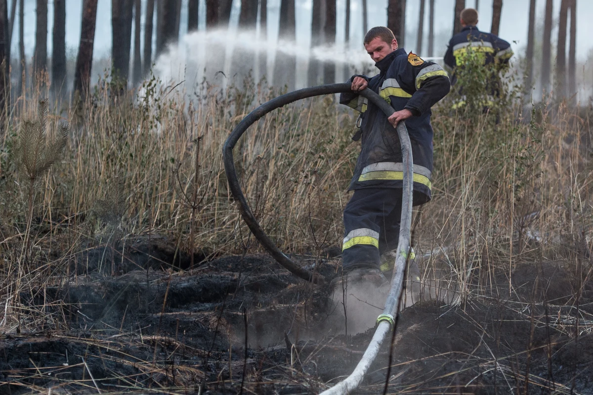 Pół miliona złotych – to wstępne straty po pożarze 50 hektarów lasów koło Prochowic na Dolnym Śląsku. Po południu znane będą dokładne szacunki. Dogaszanie pogorzeliska może potrwać jeszcze kilkanaście godzin. Na miejscu w tej chwili pracuje 9 zastępów straży pożarnej. 