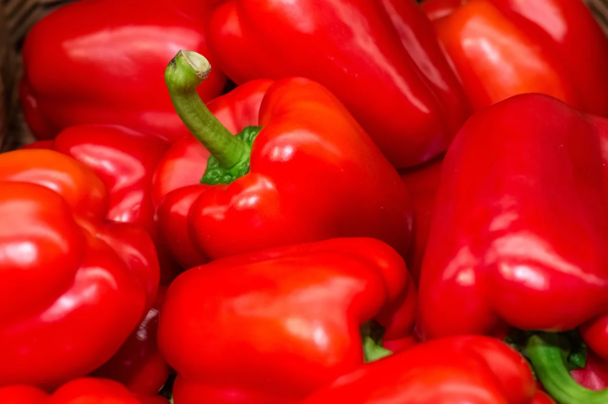 Komisja Europejska zapowiedziała przyjęcie w przyszłym tygodniu nadzwyczajnych środków wsparcia dla plantatorów w Unii Europejskiej, którzy ponieśli największe straty na skutek rosyjskiego embarga na artykuły rolno-spożywcze. Pomoc mają dostać plantatorzy tzw. warzyw wrażliwych – m.in. ogórków, papryki, pomidorów i pieczarek, które po zbiorach nie mogą być przechowywane. 