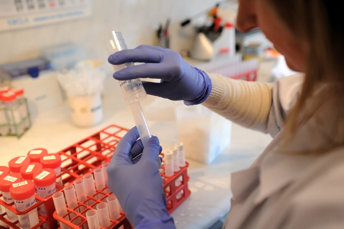 „Rzeczpospolita” przygląda się temu, jak Polska przygotowana jest na ewentualną konfrontacje z epidemią Eboli. „Mamy za mało epidemiologów, a dwie trzecie lekarzy nie wie, co robić, gdy podejrzewa zakażenie wirusem Ebola” – alarmuje. 