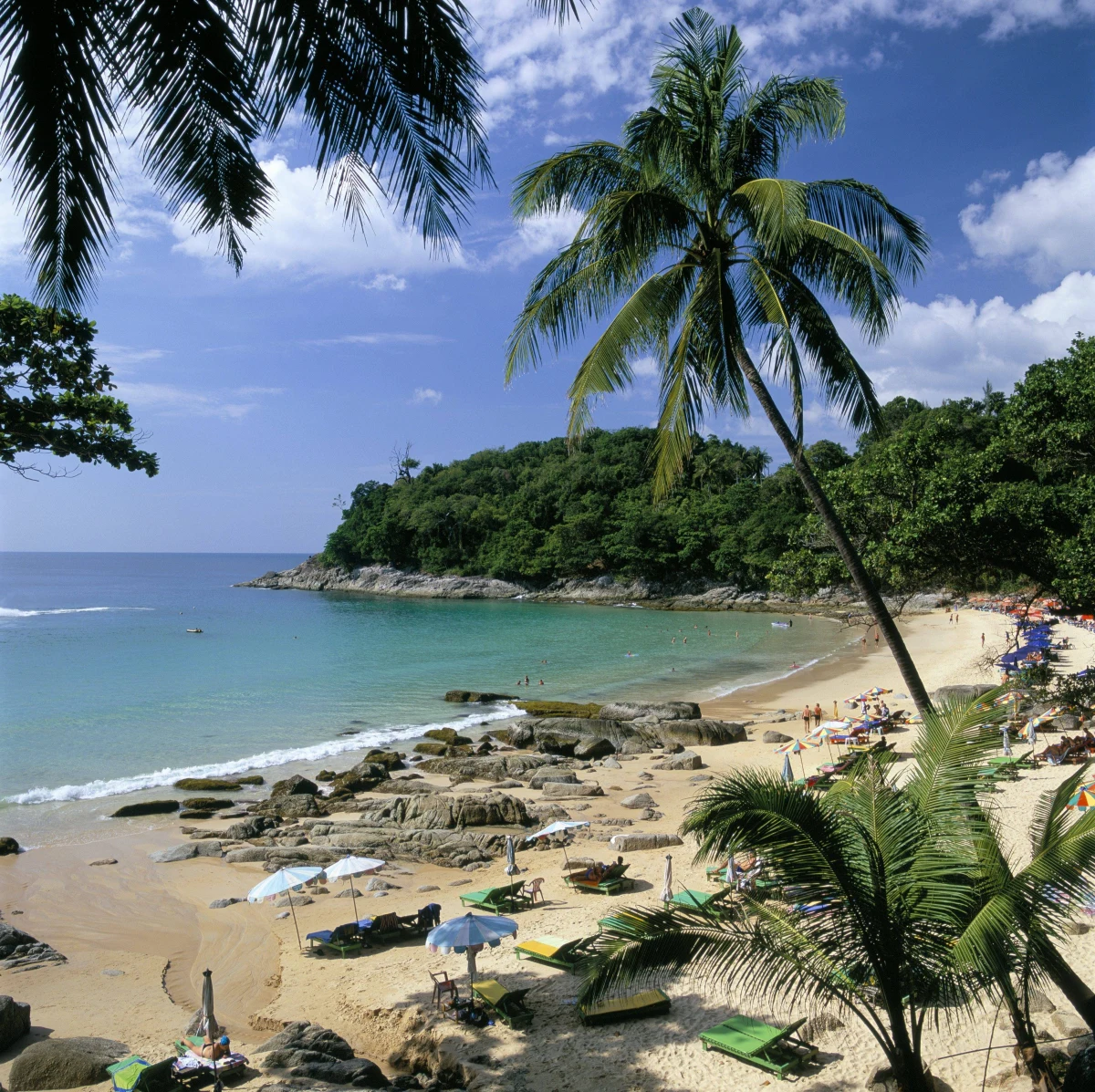 Pięcioletni Francuz zmarł na południu Tajlandii, gdy podczas kąpieli w morzu poparzyła go kubomeduza - poinformowała lokalna policja. To jedno z najbardziej jadowitych stworzeń na Ziemi.