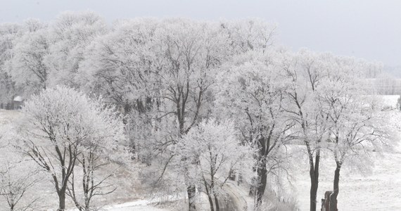 Bociany odleciały nieco wcześniej niż w ubiegłych latach, a za oknem deszczowo i chłodno. Czas już chyba pomyśleć o zimie... Interia.pl zapytała ornitologa o to, co nas czeka od grudnia.