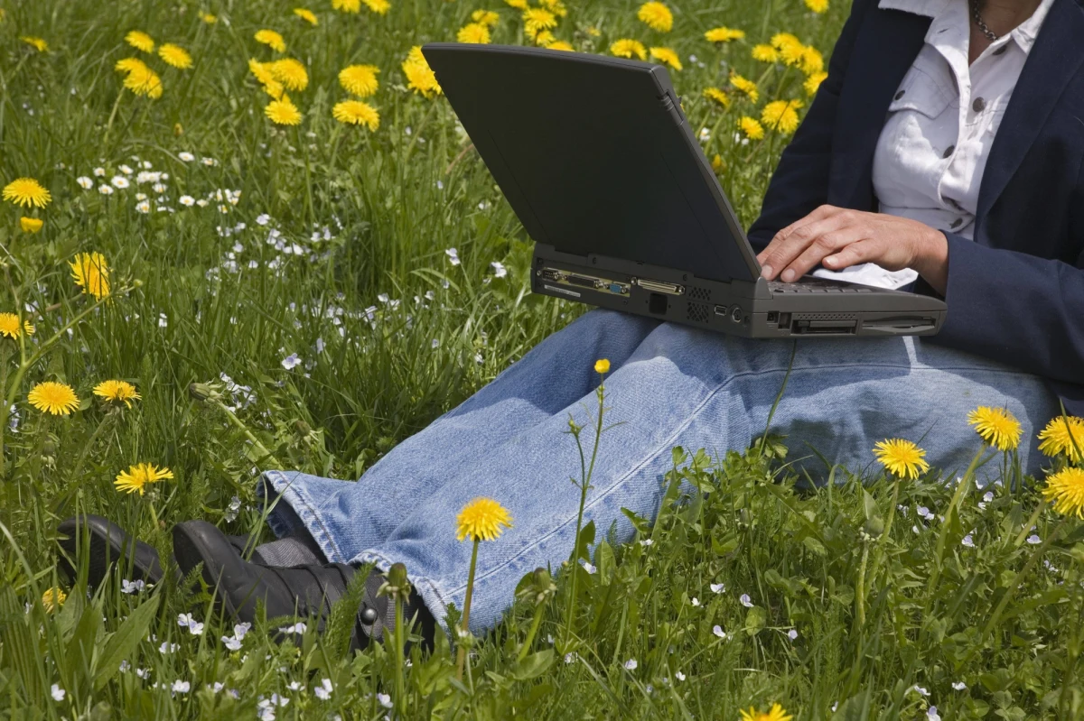 Paprotka jest w biurze potrzebna. Podobnie, jak inne rośliny. Brytyjscy, holenderscy i australijscy naukowcy przekonują, że zieleń w pomieszczeniach biurowych poprawia pracownikom nastrój i zwiększa wydajność ich pracy. Właśnie opublikowali wyniki badań, które podważają dotychczasowe twierdzenia, że to prostota i surowość pomieszczeń sprzyja wydajności.