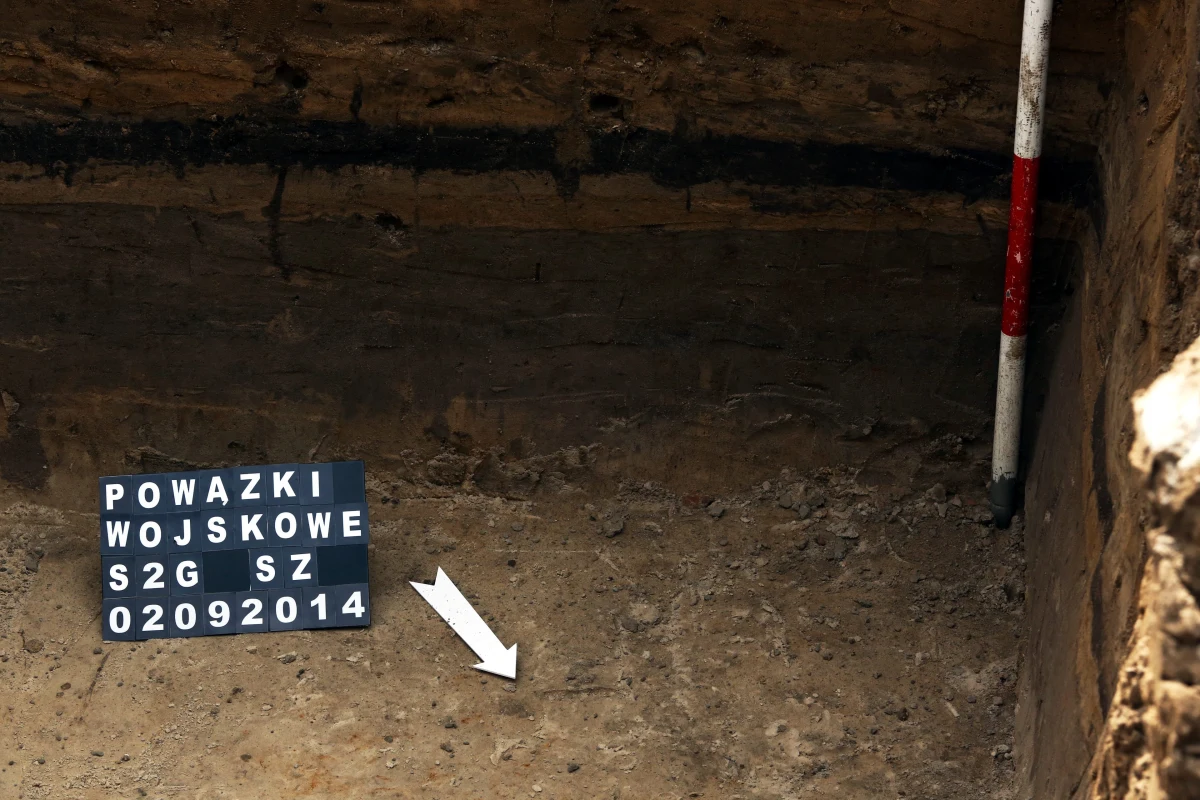 Szkielety dwóch osób odnaleziono na wojskowych Powązkach w Warszawie. IPN prowadził tam poszukiwania ofiar terroru komunistycznego. Historycy i archeolodzy IPN zakończyli w poniedziałek prace na terenie "kwatery Ł", gdzie komuniści grzebali Żołnierzy Niezłomnych. 