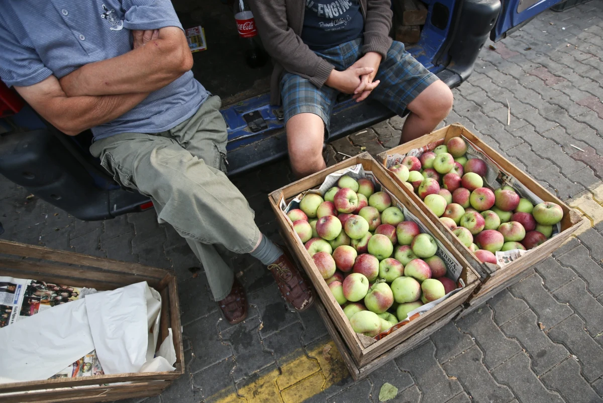 Komisja Europejska zawiesiła wsparcie dla producentów owoców i warzyw, dotkniętych skutkami rosyjskiego embarga. Informację taką przekazała Komisja Europejska. Według komisarza ds. rolnictwa Daciana Ciolosa wniosków jest tak dużo, że przekroczyły one kwotę, jaką Bruksela planowała wydać na pomoc rolnikom. 