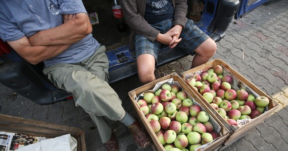 Komisja Europejska zawiesiła wsparcie dla producentów owoców i warzyw, dotkniętych skutkami rosyjskiego embarga. Informację taką przekazała Komisja Europejska. Według komisarza ds. rolnictwa Daciana Ciolosa wniosków jest tak dużo, że przekroczyły one kwotę, jaką Bruksela planowała wydać na pomoc rolnikom. 