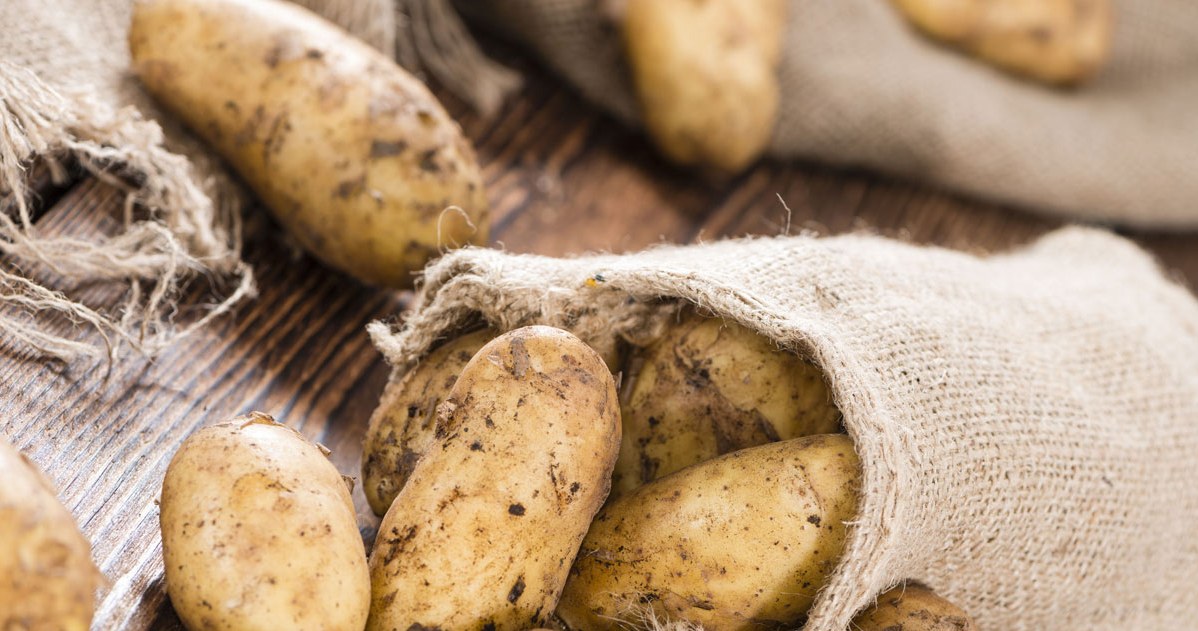 Mój dziadek przechowuje ziemniaki tylko w ten sposób. Nie psują się całą zimę