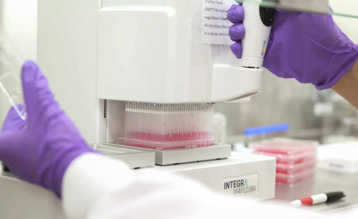 W Oksfordzie rozpoczęły się testy kliniczne eksperymentalnej szczepionki przeciwko wirusowi Ebola - informuje serwis BBC News Health. Prototypowa szczepionka wykorzystuje wirusa małpiego przeziębienia do przenoszenia pojedynczego białka charakterystycznego dla wirusa Ebola. Nie może więc wywołać choroby, ale powinna pobudzić wytwarzanie przeciwciał przeciwko wirusowi, który wywołał epidemię w Afryce. 