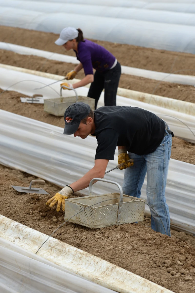 Sąd w Niemczech skazał na kary więzienia oraz grzywny czterech uczestników samosądu dokonanego w maju zeszłego roku na polskich robotnikach sezonowych. Polacy byli niesłusznie podejrzewani przez mieszkańców o włamanie do jednego z domów. 