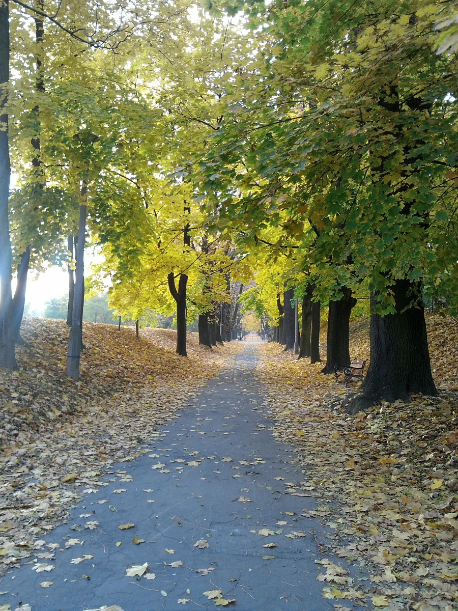 Przez najbliższe dwa dni aura będzie kaprysić.  Przydadzą się parasole, bo niemal we wszystkich regionach kraju popada deszcz. Wysoko w Tatrach ma prószyć śnieg. Od czasu do czasu rozpogodzi się, ale… nie na długo. Pogoda szykuje nam jednak niespodziankę. W dodatku miłą. Wyraźną poprawę ma przynieść sobota. Opady deszczu ustąpią i nieco się ociepli. Jak wynika z prognoz, dobra passa utrzyma się co najmniej przez kilka dni. We wtorek ma być nawet do 23 stopni Celsjusza.
