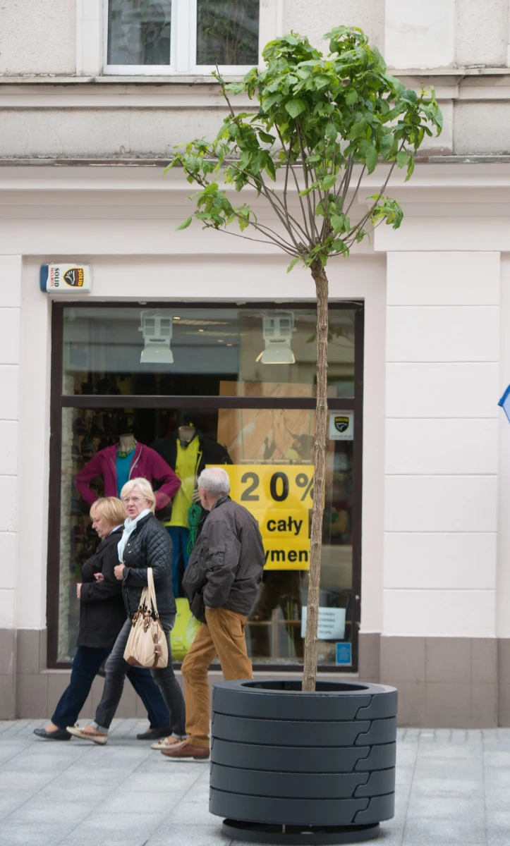 Urzędnicy magistratu w Łodzi nie popełnili przestępstwa kupując - chyba najdroższe w Polsce - drzewka w donicach na ulicę Piotrkowską. Koszt zakupu 16 roślin wraz z ich pielęgnacją, to 155 tys. złotych. 