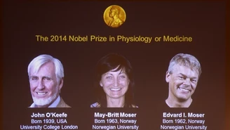 Nobel z medycyny dla O'Keefe'a i Moserów