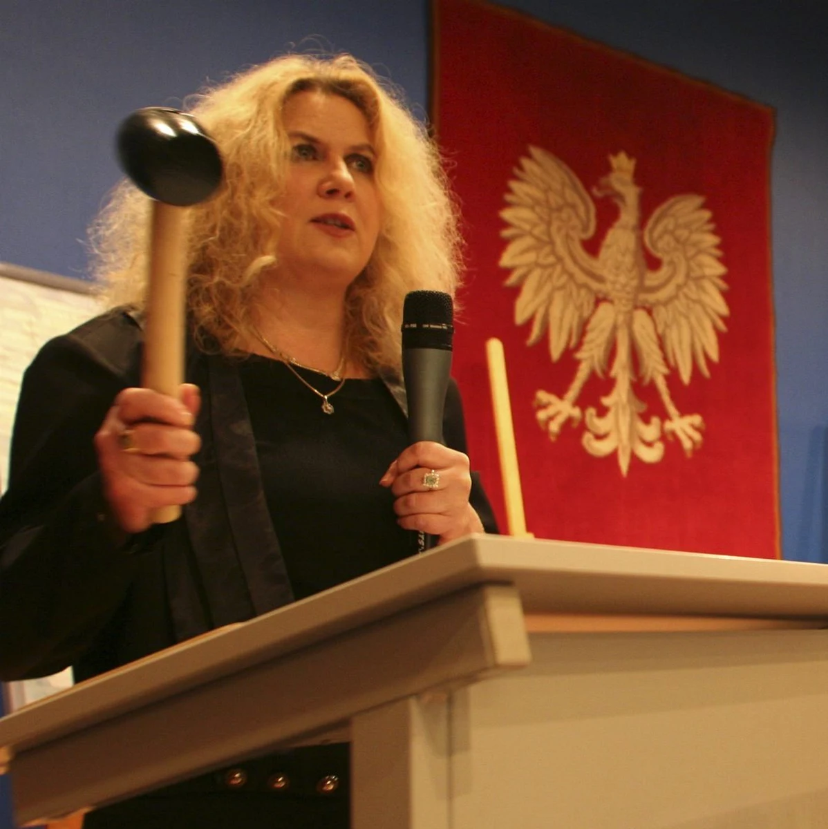 Prodziekan Wydziału Radia i Telewizji Uniwersytetu Śląskiego w Katowicach, była senator prof. Krystyna Doktorowicz jest kandydatką komitetu "My z Katowic" na prezydenta miasta. Estetyka miasta, ożywienie jego centrum, przedstawienie wizji rozwoju miasta w wieloletniej perspektywie - oto wstępna wizja kandydatki na prezydenta Katowic.