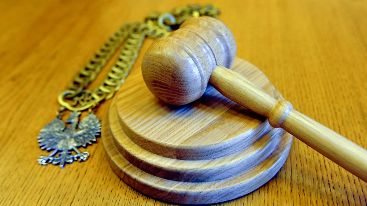 9 lat więzienia zamiast 13 lat – to kara dla matki ze Zduńskiej Woli w Łódzkiem, która tuż po urodzeniu poraniła córkę i wyrzuciła ją na śmietnik. Dziewczynka przeżyła cudem, bo płacz dziecka w koszu na śmieci usłyszeli przypadkowi przechodnie.