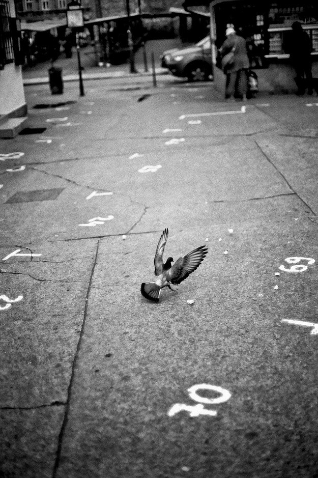 _ /Bogdan Frymorgen /RMF FM