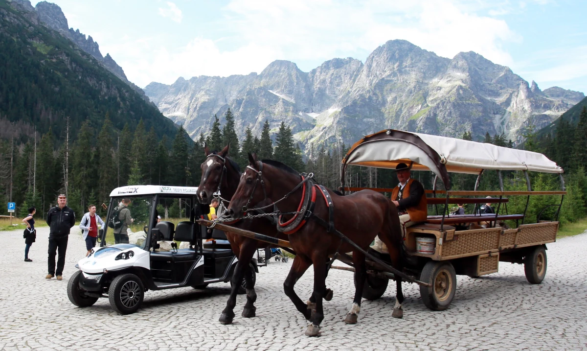Testowanie meleksów zimą, szczegółowe badania obciążenia koni oraz testy wozu konnego wspomaganego napędem elektrycznym - takie rozwiązania wypracowała w Zakopanem specjalna grupa robocza do spraw transportu turystów do Morskiego Oka.