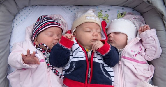 Na tysiąc porodów już 14 kończy się urodzeniem więcej niż jednego dziecka - donosi "Rzeczpospolita". Większe prawdopodobieństwo ciąży mnogiej jest w przypadku kobiet, które odkładają decyzję o macierzyństwie - wynika z raportu demografów z Uniwersytetu Łódzkiego.