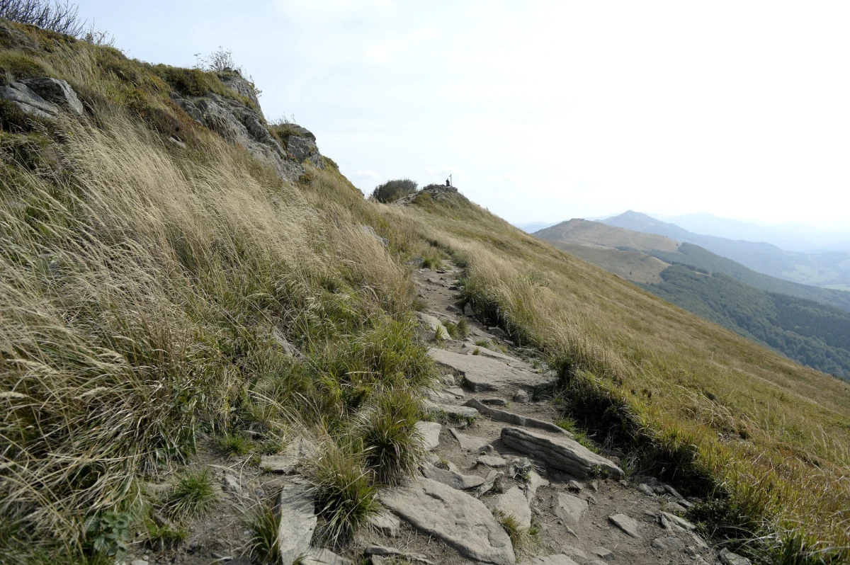 Tragiczny finał poszukiwań 61-letniego mężczyzny w okolicach Olszanicy w Bieszczadach. Policjanci odnaleźli jego zwłoki - nieopodal miejsca, w którym wczoraj wieczorem niedźwiedź zaatakował poszukujących mężczyzny goprowców. 