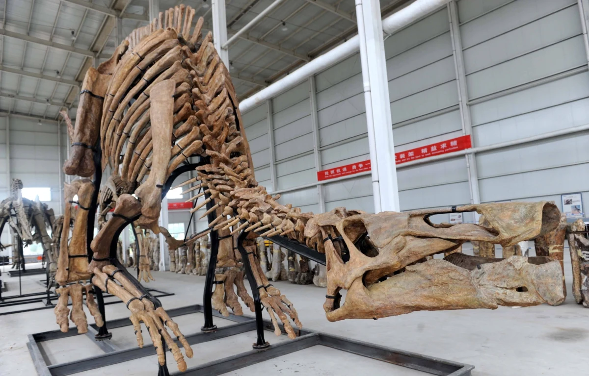 Dutkiewicz we Wrocławiu, Majchrowski w Krakowie, Adamowicz w Gdańsku - te nazwiska nie zmieniają się od kilkunastu już lat. W piątek komisje wyborcze zamknęły listy kandydatów na prezydentów miast w najbliższych wyborach samorządowych. 