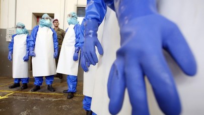 WHO: Ebola prawdopodobnie nie przeniosła się do innych krajów 