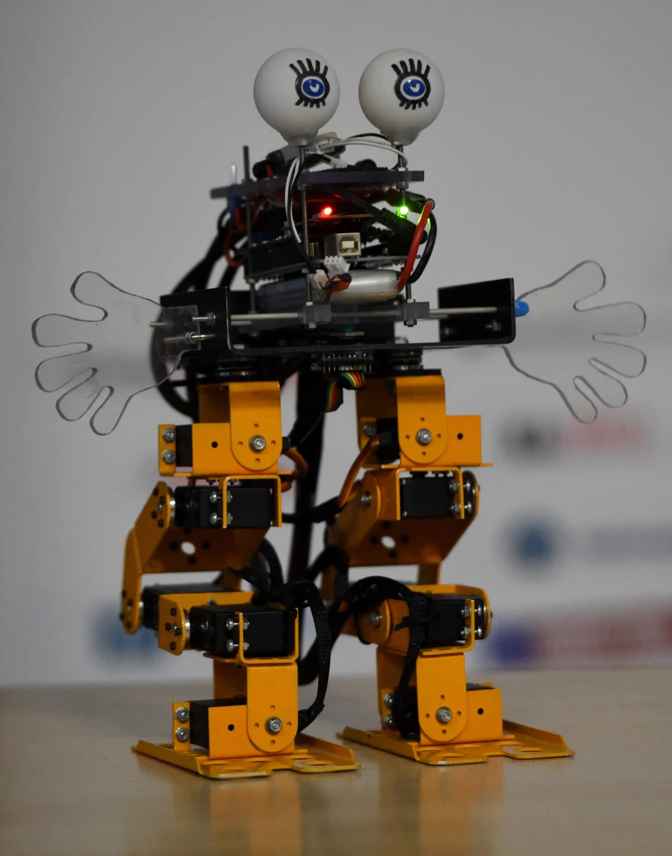 W sklepie ze sprzętem ogrodniczym i narzędziami - Orchard Supply Hardware w kalifornijskim San Jose klientom pomagają w zakupach... roboty. Tę usługę, tylko na pozór wyglądającą na science fiction, opisuje agencja Associated Press.