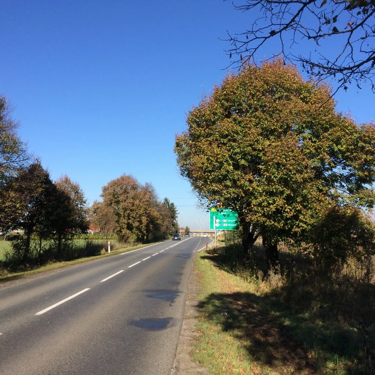 Na trasach dojazdowych do dolnośląskiego odcinka drogi ekspresowej S8 brakuje znaków. "Te, które stoją, są zasłonięte przez drzewa" - alarmują policjanci i kierowcy z Oleśnicy. Samochody błądzą i coraz częściej wjeżdżają na trasę pod prąd. Dochodzi do śmiertelnych wypadków. Kontrolę oznakowania zapowiada generalna Dyrekcja Dróg Krajowych i Autostrad. 