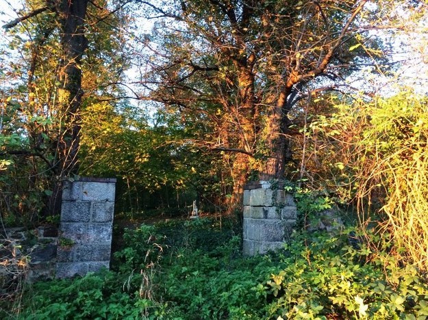 /Bartłomiej Paulus /RMF FM