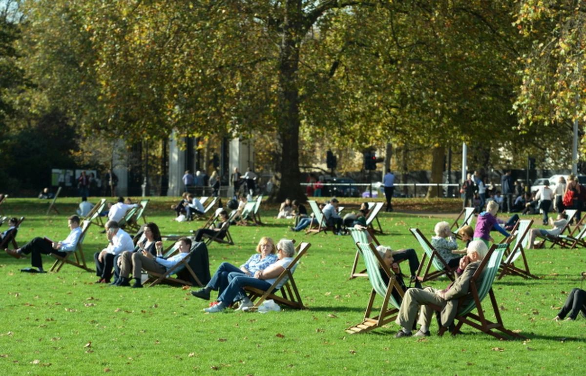 Gromadzenie się białkowych złogów w mózgu nie jest przyczyną, ale objawem choroby Alzheimera. Badacze z Georgetown University Medical Center stawiają na głowie dotychczasową wiedzę na ten temat. W artykule opublikowanym na łamach czasopisma "Molecular Neurodegeneration" piszą, że winne jest białko tau. To jego nieprawidłowe działanie uruchamia procesy, które prowadzą do odkładania się tak zwanych płytek amyloidowych i postępującej demencji.