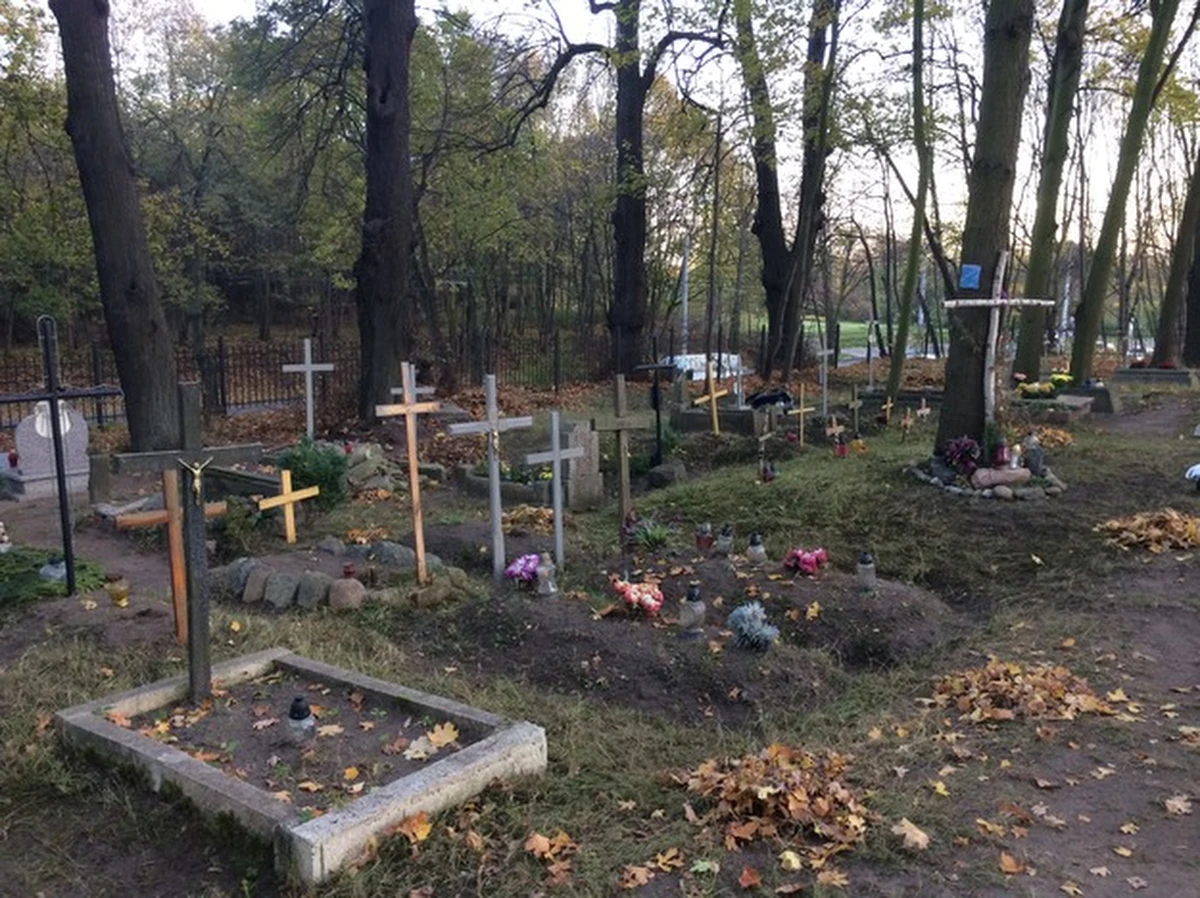 Do lat 50. pochowano tam co najmniej 300 osób, w dużej części dzieci. To niemal zupełnie nieznany trójmiejski cmentarz. Chodzi o niewielką nekropolię położoną w obrębie Kolibek w Gdyni Orłowie. Dokładniej na pasie zieleni oddzielającym dwie jezdnie głównej arterii Trójmiasta. Wielu mieszkańców nie ma pojęcia o istnieniu cmentarza, choć codziennie przejeżdżają obok niego tysiące samochodów.