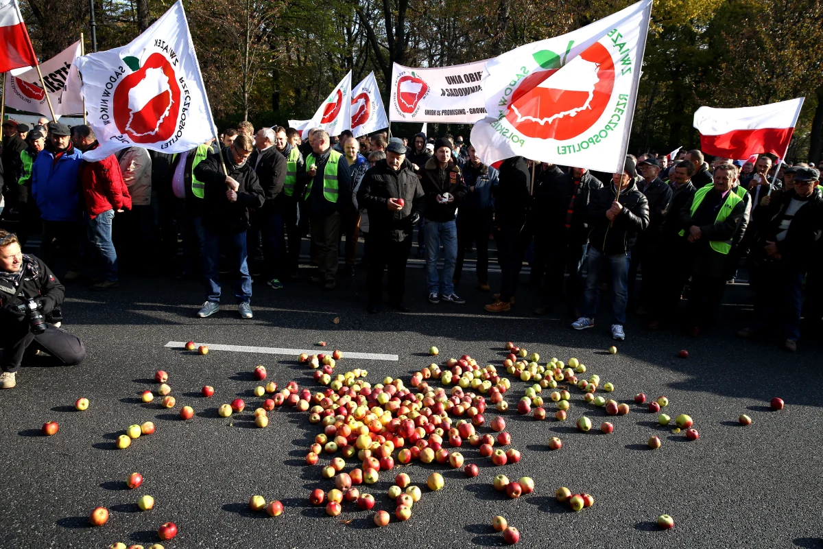"Chcemy, aby nasze jabłka były sprzedawane na rynkach Unii Europejskiej" - domagają się od rządu rolnicy. Kilkuset sadowników protestuje w tej sprawie przed kancelarią premiera.