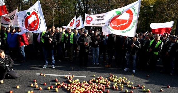 "Chcemy, aby nasze jabłka były sprzedawane na rynkach Unii Europejskiej" - domagają się od rządu rolnicy. Kilkuset sadowników protestuje w tej sprawie przed kancelarią premiera.