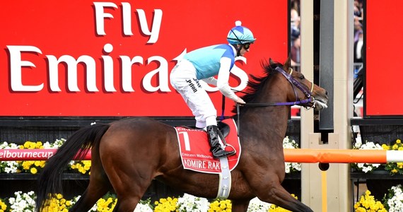 Będący faworytem Melbourne Cup japoński koń Admire Ratki zasłabł tuż po zakończeniu wyścigu i zdechł w boksie. W drodze do stajni nogę złamał inny koń - Araldo - i został uśpiony. To czwarty i piąty w historii przypadek śmierci zwierzęcia związany z tą imprezą.