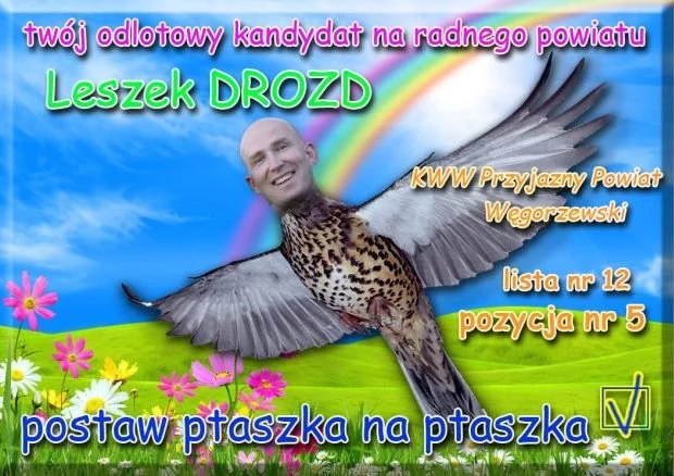 "Postaw ptaszka na ptaszka"